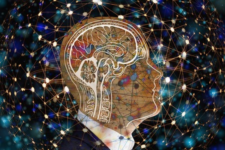 脳科学入門