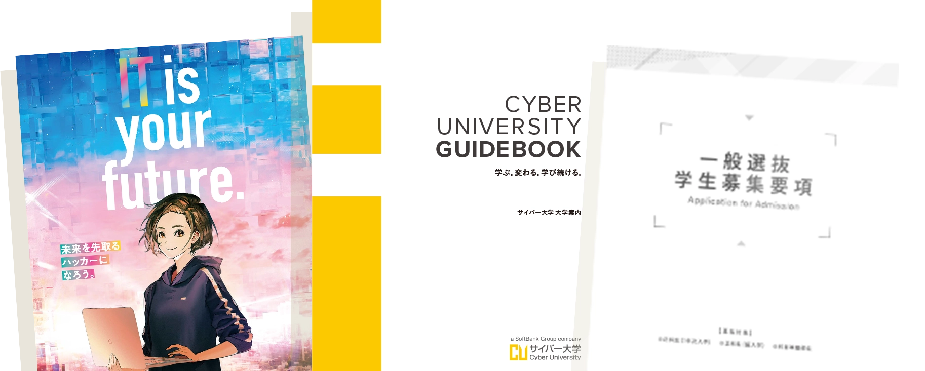 サイバー大学資料請求