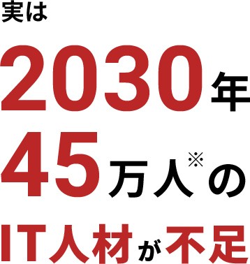 実は2030年45万人のIT人材が不足